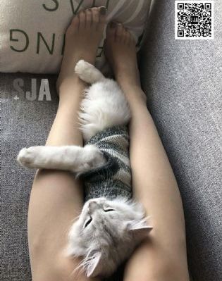 欧美亚洲面孔_1080神马在线观看
